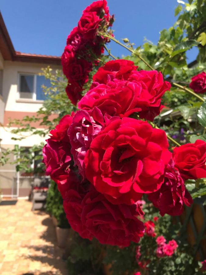 Black Sea House Apartment كونستانتا المظهر الخارجي الصورة
